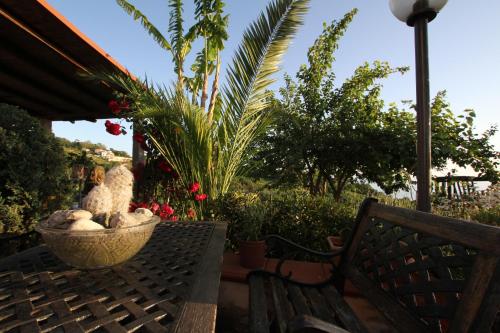 Jardin de l'établissement B&B la Sirenetta
