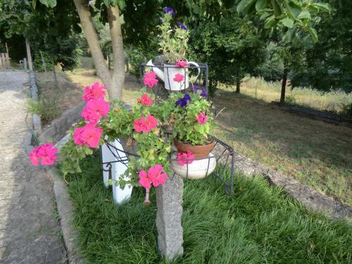 two flower pots on a tree with flowers in it at VianasHome in Amarante