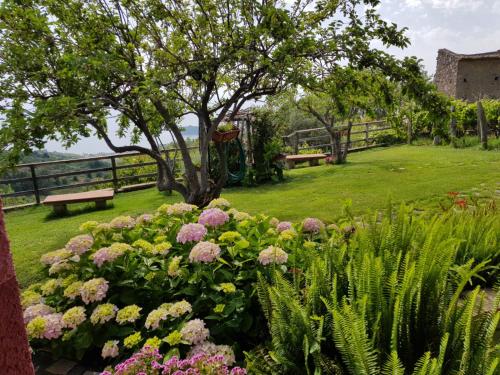 Jardin de l'établissement B&B la Sirenetta