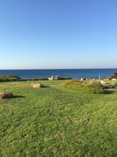 a field of grass with the ocean in the background at Nerida Beachfront Villas in Plimmiri