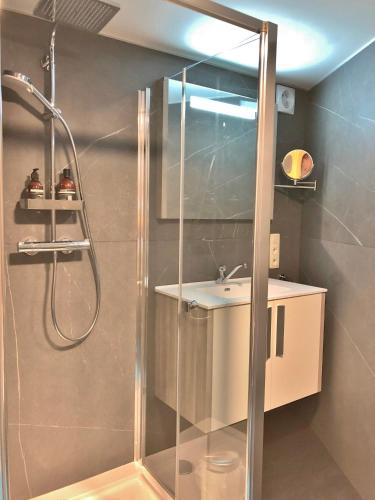 a bathroom with a shower and a sink at The Little Houses - Tiny Houses Malmedy - Francorchamps in Malmedy