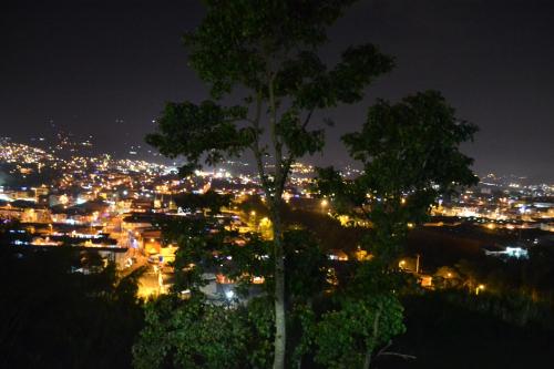 a view of a city at night with a tree at HOTEl TANGARA in Pereira