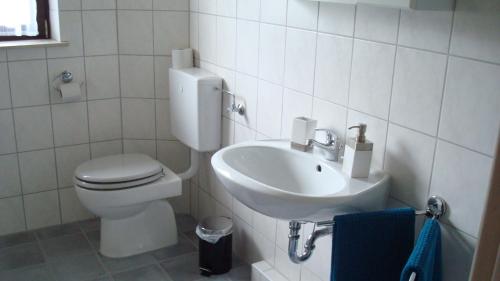 SandebeckにあるHaus am Teutoburgerwaldの白いバスルーム(トイレ、シンク付)