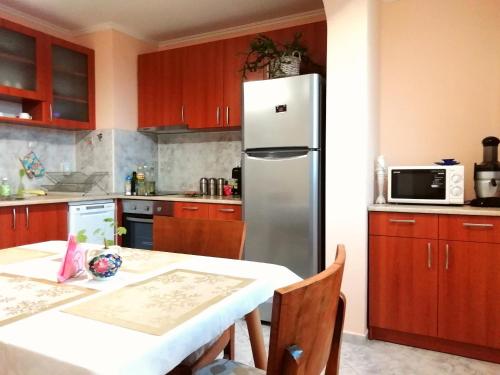 Кухня или мини-кухня в Apartment Durvenitza
