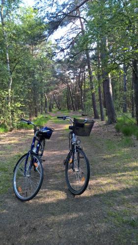 two bikes parked next to each other in a forest at Ferienwohnung "Schonzeit" in Graal-Müritz