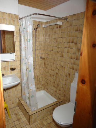 a bathroom with a shower and a toilet and a sink at Curtins 16 in Pontresina
