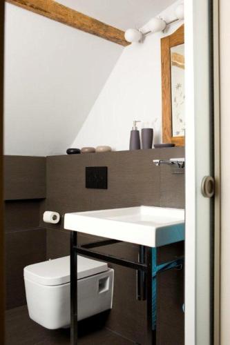 a bathroom with a sink and a toilet at Apartament Rynkowy in Kazimierz Dolny
