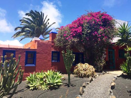 ein Haus mit rosa Blumen und Pflanzen davor in der Unterkunft Casa Panama,in der Finca Mimosa in Teguise