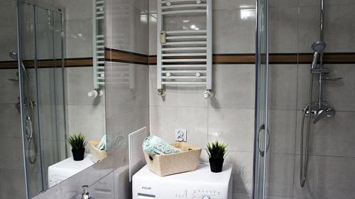 łazienka z prysznicem z roślinami w obiekcie Sleep4you, Zielona Góra w Zielonej Górze