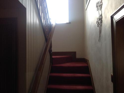 a stairway with red carpeted stairs and a window at Midtown Farm Bed & Breakfast in Easton