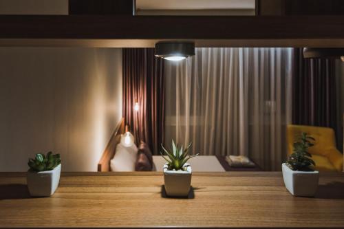 three potted plants sitting on top of a table at Central Plaza Apartments in Niš