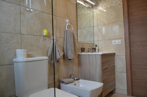 a bathroom with a toilet and a sink at MAGNIFICO Penthouse LAS PALMAS in Las Palmas de Gran Canaria