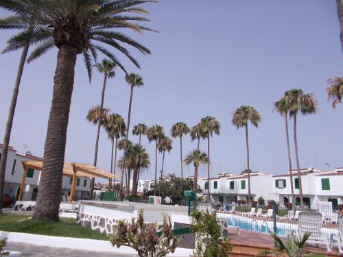 プラヤ・デル・イングレスにあるBungalow Main Street Playa del Inglesのヤシの木とスイミングプールのあるリゾート