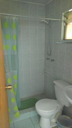 a bathroom with a shower with a toilet and a sink at Refugios Olmue Santa Teresa in El Maqui