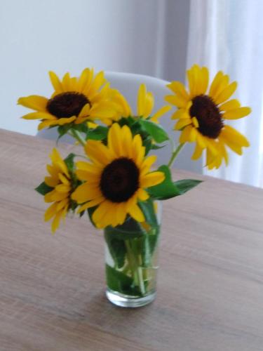 a vase filled with yellow sunflowers sitting on a table at 7 Islands in Alykes