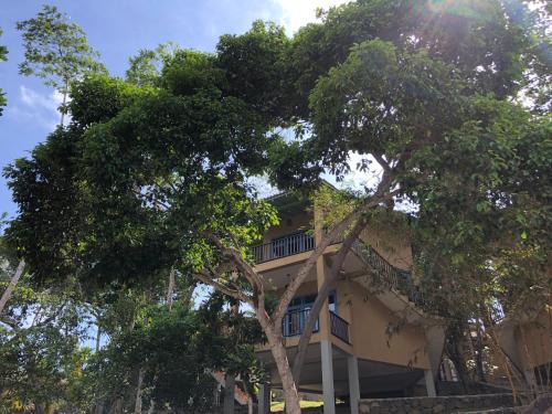 a building with a tree in front of it at Palace Mirissa in Mirissa