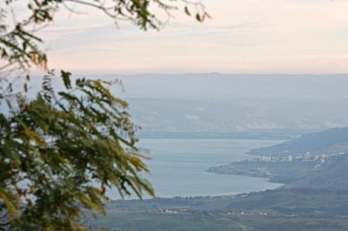 a view of a large body of water at Switzerland In Amirim in Amirim