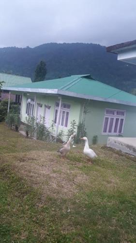 two birds standing in the grass in front of a house at Vamoosetrail Lingzey in Lingtām