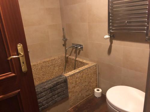 a bathroom with a shower and a toilet in it at Varandas do Funchal in Funchal