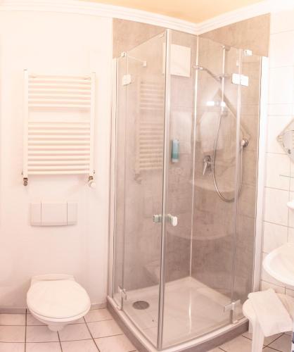 a bathroom with a shower with a toilet and a sink at Parkhotel Neubrandenburg in Neubrandenburg