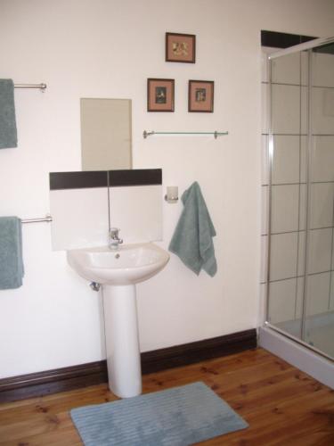 a bathroom with a sink and a shower at Dee's BnB in Pretoria