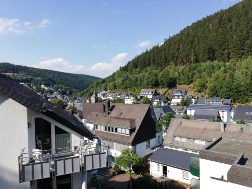 an aerial view of a town with a mountain at Dorf-Quartier in Willingen