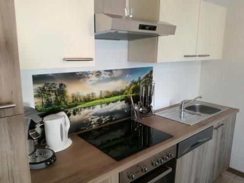 a kitchen counter with a painting on the wall at Appartement Ferienhaus Sonnenhain in Sollenau