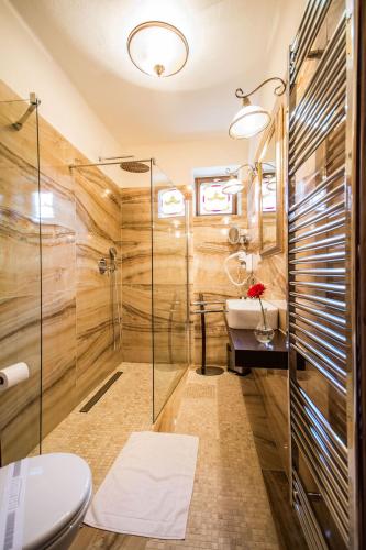 a bathroom with a shower and a toilet at Parkhotel Brno in Brno