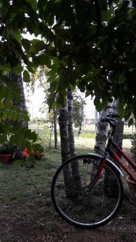 een rode fiets geparkeerd naast een boom bij B&B Alla Bon'ora in Volpago del Montello