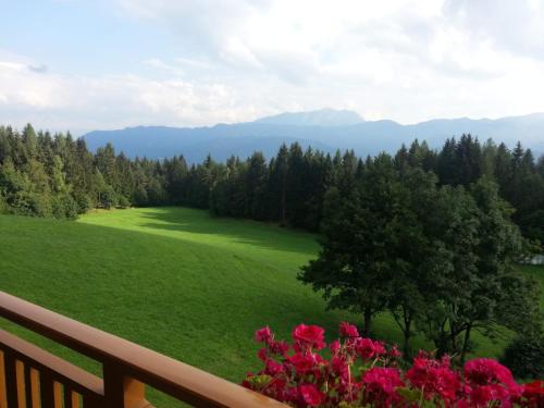 a view from the balcony of a house with flowers at Pension Barzaunerhof in Fresach