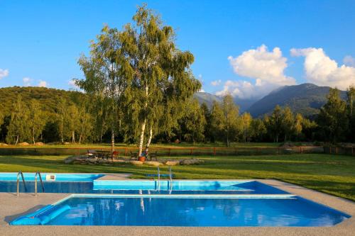 a group of three swimming pools in a field with a tree at Complex Pastravaria Albota in Arpaşu de Sus