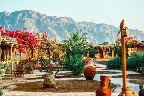 a garden with large vases and flowers in front of mountains at Sayadeen Village - Red Sea Riviera in Nuweiba