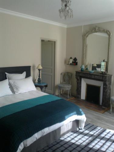 a bedroom with a bed with a fireplace and a mirror at Le 39 Bis in Rémalard en Perche