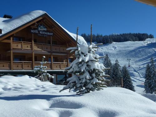 a snow covered tree in front of a ski lodge at Hôtel Restaurant "Les Sapins" Wellness & Gourmet in Manigod