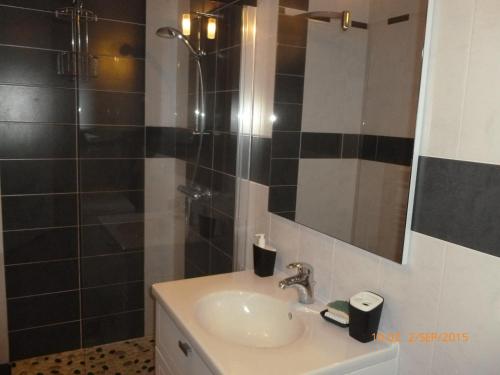 a bathroom with a sink and a shower at Domaine de la moriniere in Commequiers
