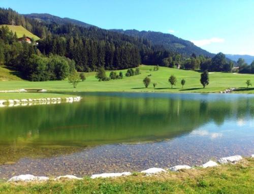 a large body of water with trees in the background at Apartment Sonnblick in Sankt Johann im Pongau