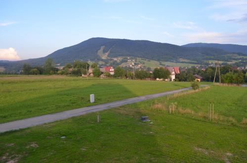 a road in a field with a mountain in the background at Pokoje na Wzgórzu in Kasina Wielka