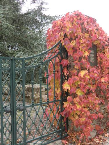 Κήπος έξω από το Quinta das Aveleiras