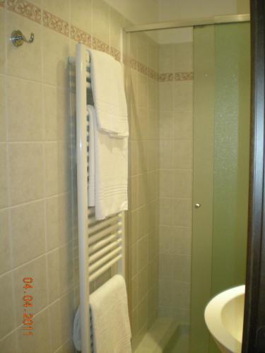 a bathroom with a shower and a sink at Hotel La Locanda in Stresa