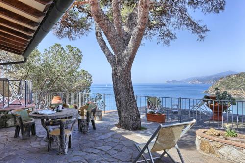 a patio with a table and chairs and a tree at Rosa dei Venti in Capoliveri