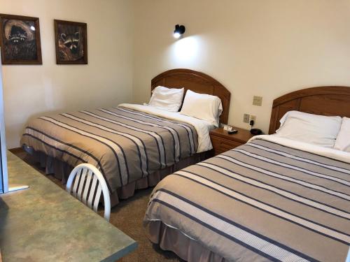 a hotel room with two beds and a table at Village Inn Motel in Chatham