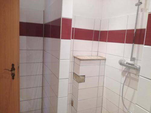 La salle de bains est pourvue d'une douche avec du carrelage rouge et blanc. dans l'établissement Pension Schloßwache-Zerbst, à Zerbst