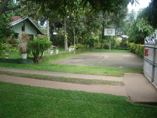 Un jardín fuera de Villa Shade