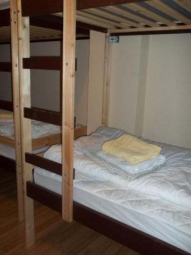 a bedroom with two bunk beds in a room at Hostel No 5 in Halle an der Saale
