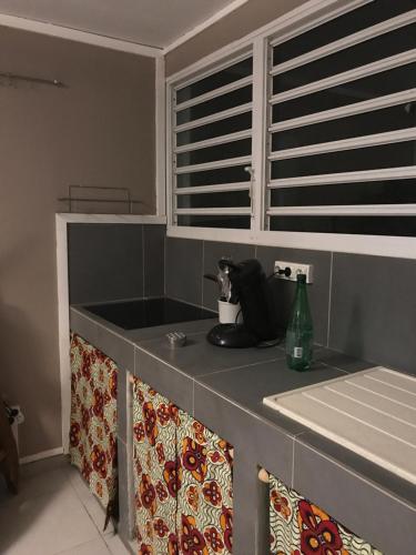 Kuchyň nebo kuchyňský kout v ubytování Les Gîtes de CASITA By kreyol animal