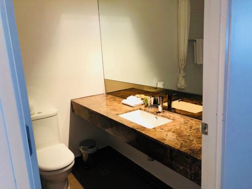 a bathroom with a sink and a toilet and a mirror at East 302 St Falls in Falls Creek