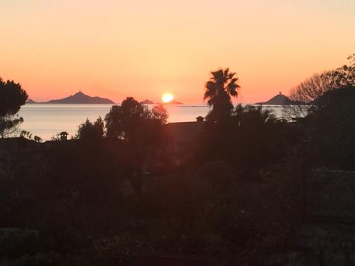 a sunset over the ocean with a palm tree at Villa cote plage in Ajaccio