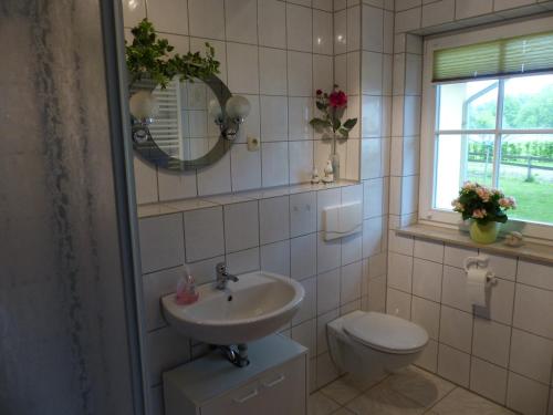 uma casa de banho com um lavatório, um WC e um espelho. em Ferienwohnungen Jagdhaus 6 em Wieck