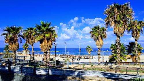 a group of palm trees on the beach at Central Hotel in Tel Aviv