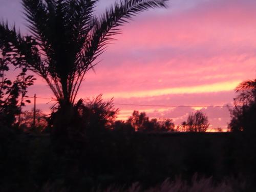 a sunset with a palm tree in the foreground at Dar Es Salam in Skoura